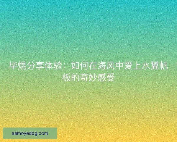 毕焜分享体验：如何在海风中爱上水翼帆板的奇妙感受