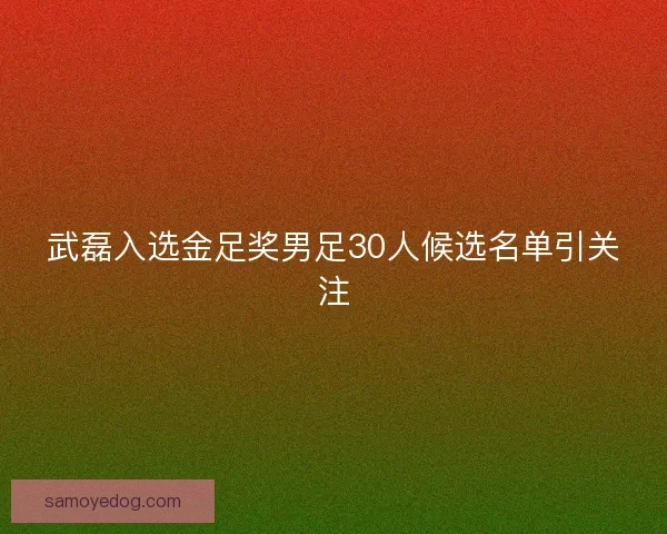 武磊入选金足奖男足30人候选名单引关注