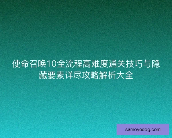 使命召唤10全流程高难度通关技巧与隐藏要素详尽攻略解析大全